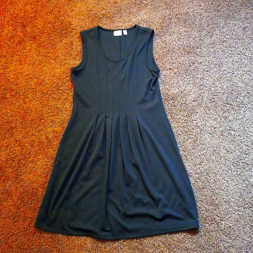 Little Black dress. Kim Rogers Black sleeveless dress size Petite Large